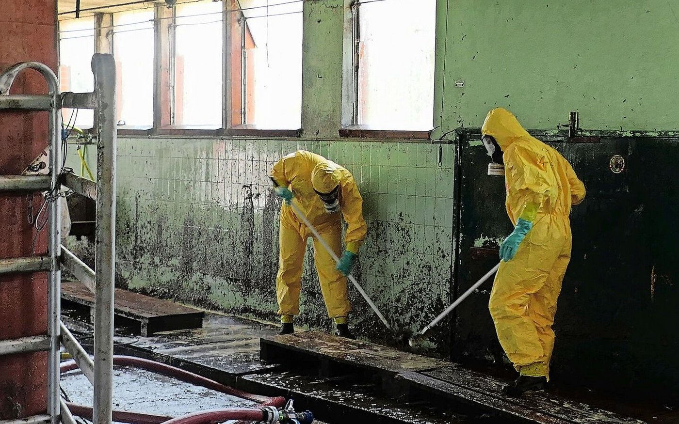 Im Ernstfall wäre die Desinfektion des Stalls entscheidend.