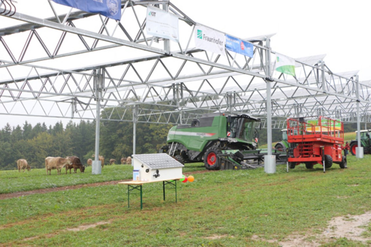 Die Agrophotovoltaik-Anlage. (Bild Manuel Fischer)