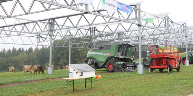 Die Agrophotovoltaik-Anlage. (Bild Manuel Fischer)