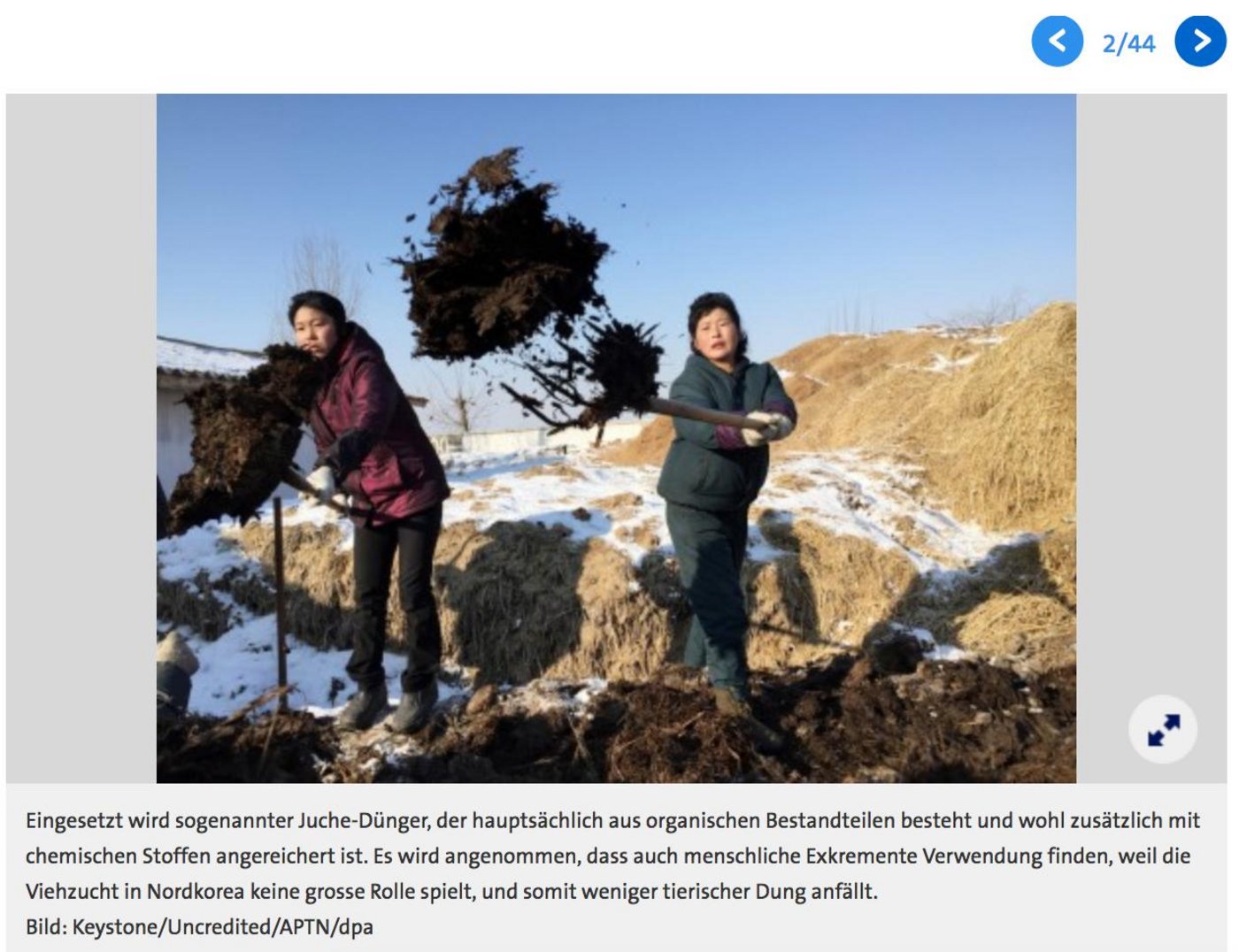 Tonnenweise Biodünger transportieren die nordkoreanischen Bauern derzeit zu ihren Feldern. (Bild Screenshot Bluewin.ch)