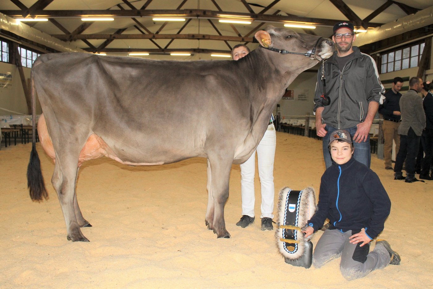 Die elegante Wagor-Tochter Jahel von Urs Büeler vom Zugerberg holte den  Champion Titel Braunvieh.