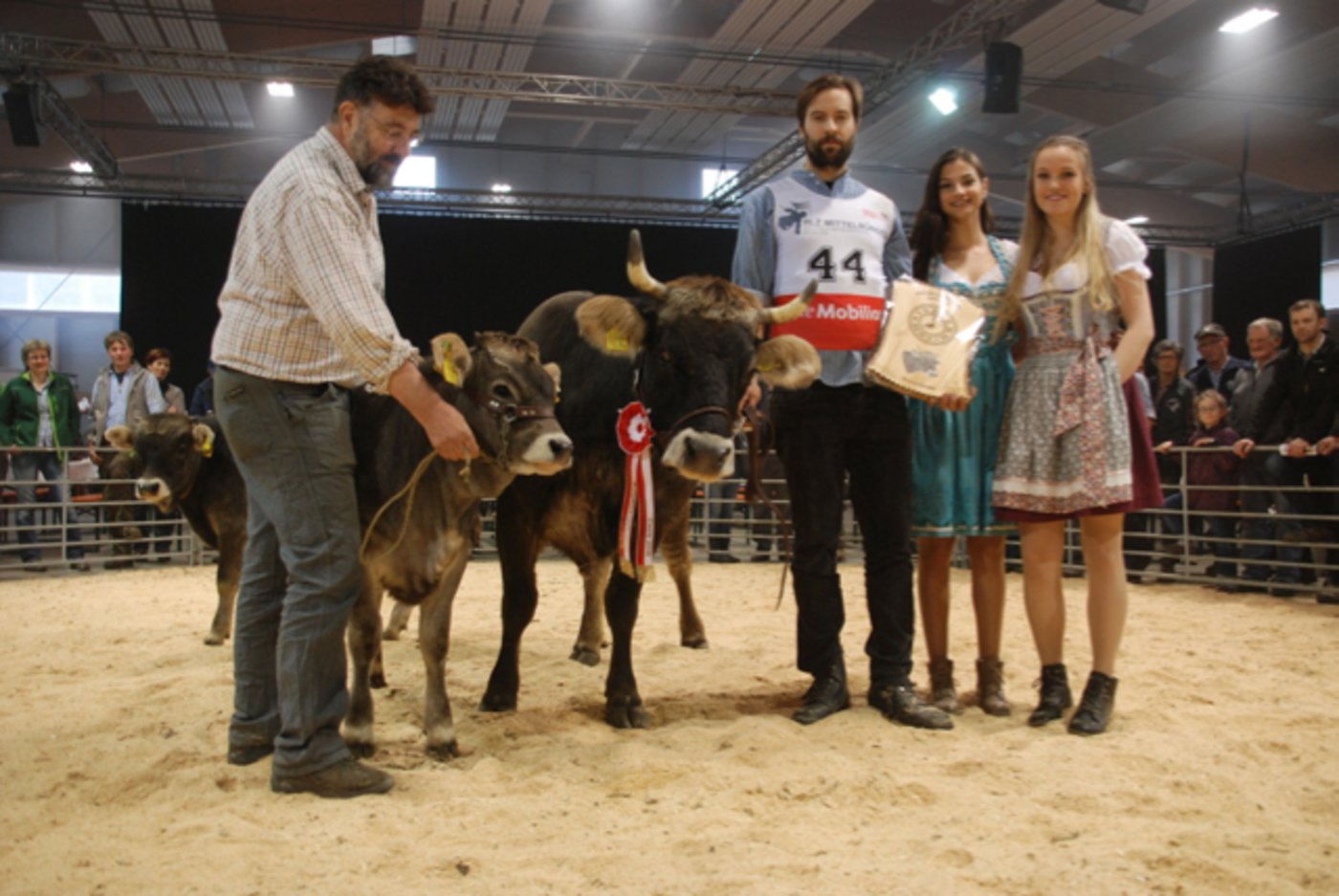 Miss Mutterkuh: Artan Sissi, Claudia Hanimann/Georg Blunier, Paspels.