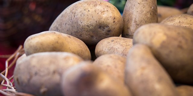 Einige Stoffe in der neuen Superkartoffel sollen vorbeugen gegen Krebs. (Symbolbild pixabay)