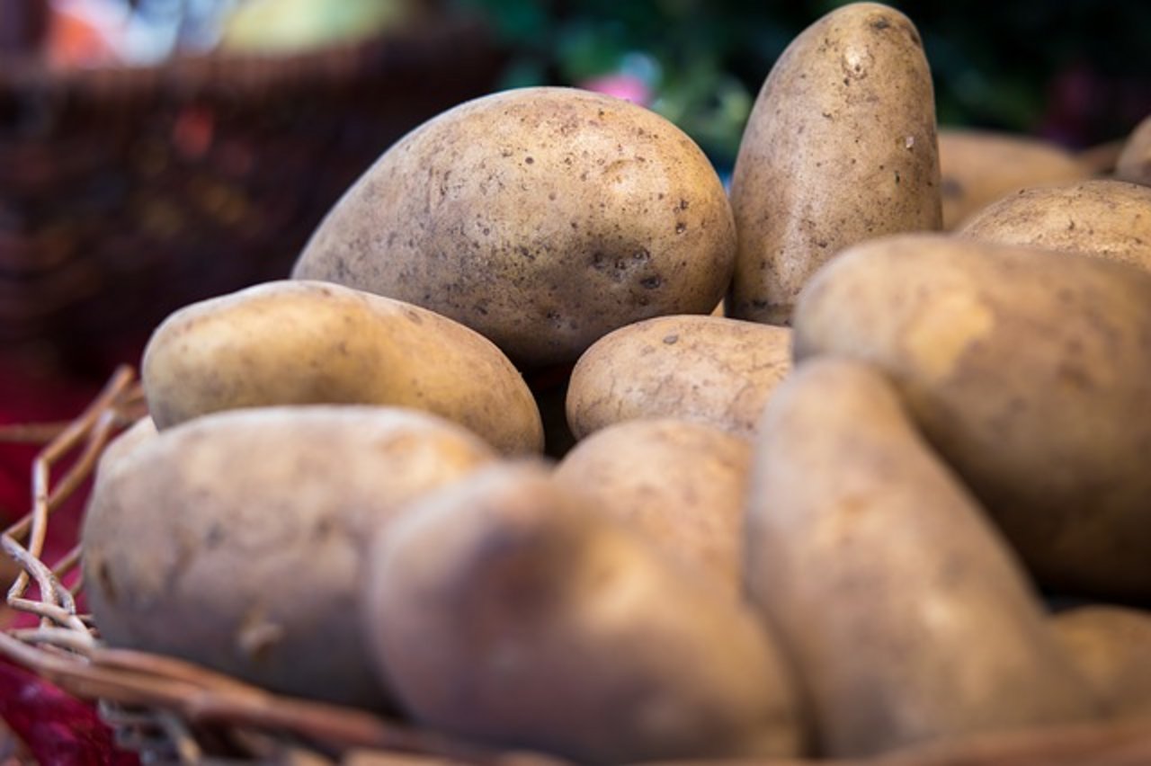 Einige Stoffe in der neuen Superkartoffel sollen vorbeugen gegen Krebs. (Symbolbild pixabay)