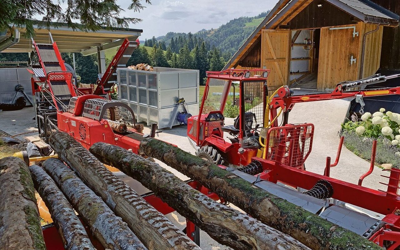 Die Prozesskette zur Brennholzbereitung (v. r.): Rüsttisch, Sägespalter, Förderband, Siebtrommeln zur Reinigung und schliesslich Förderung in die Container. 