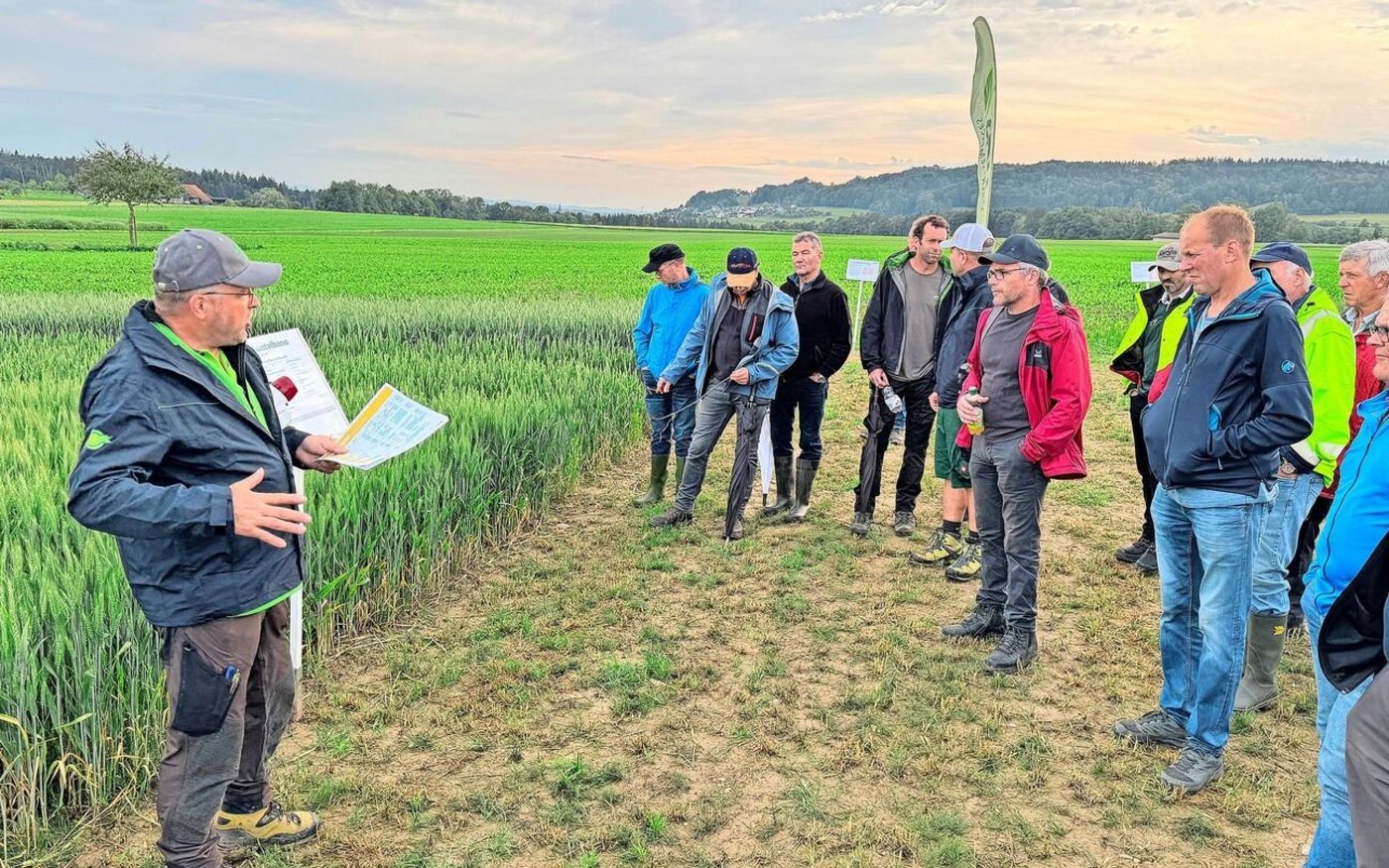 «Der plustert sich so auf und wirkt wie ein Bluffer»: Adrian Füchter, links im Bild, erklärt den Teilnehmern, warum man bei der Düngung vom Montalbano nicht sparen soll.