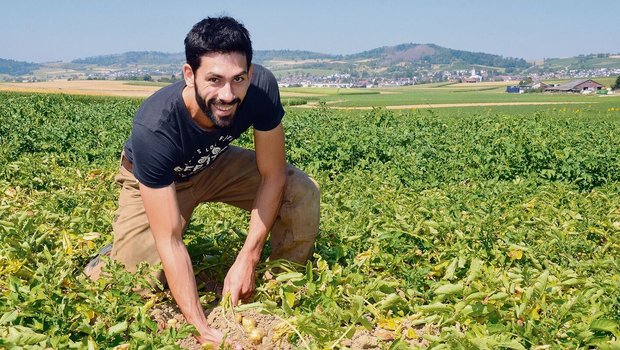 «Die Kartoffeln sehe «Die Kartoffeln sehen gut aus. Es gibt höchstwahrscheinlich eine gute Ernte», sagt David Wanner. Den Betriebszweig Kartoffeln baute er schon vor der Hofübergabe auf.