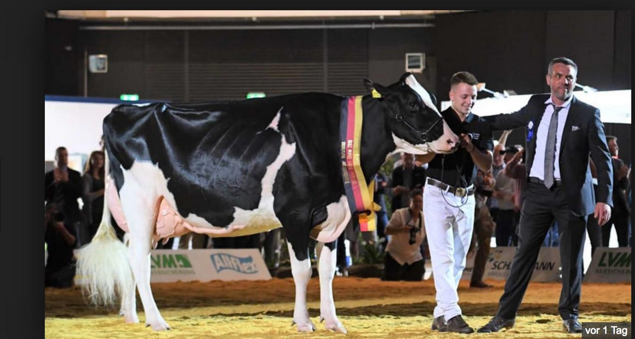 Die Armani-Tochter Alessja ist die schönste Holsteinkuh in Deutschland. Sie gehört dem Züchterkonsortium Lohmöller, Melbaum, Nosbisch und Blaise. Mit dem Preisrichter Markus Mock (rechts). (Bild zVg)