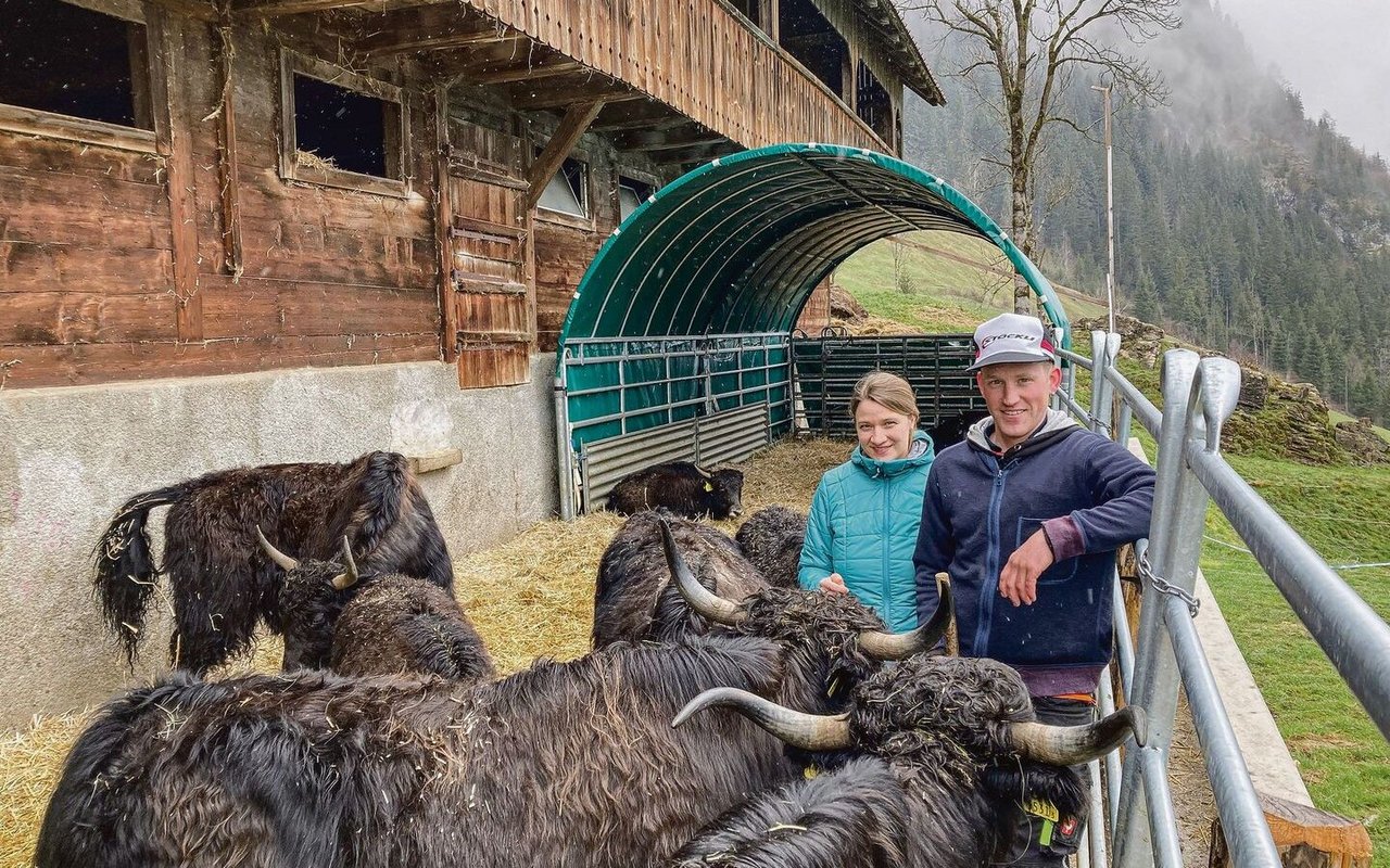Philipp Wicki und Irene Mettler bei ihrer Yak-Herde. Die Umstellung fordert sie in vieler Hinsicht.