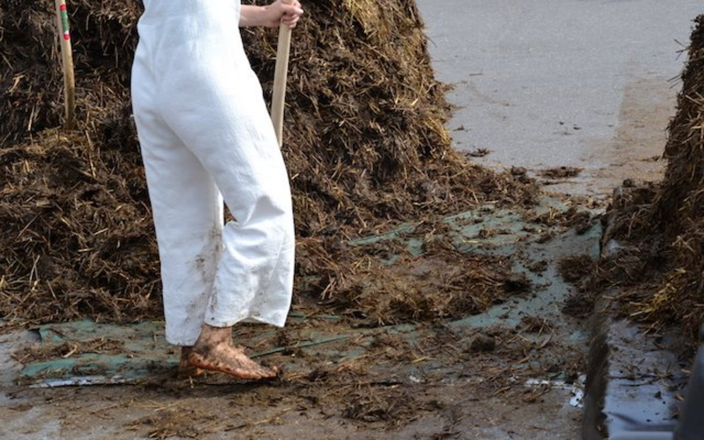 Die Künstlerin arbeitete mit blossen Füssen, um direkt in Kontakt mit dem Mist zu sein. (Bild jsc)