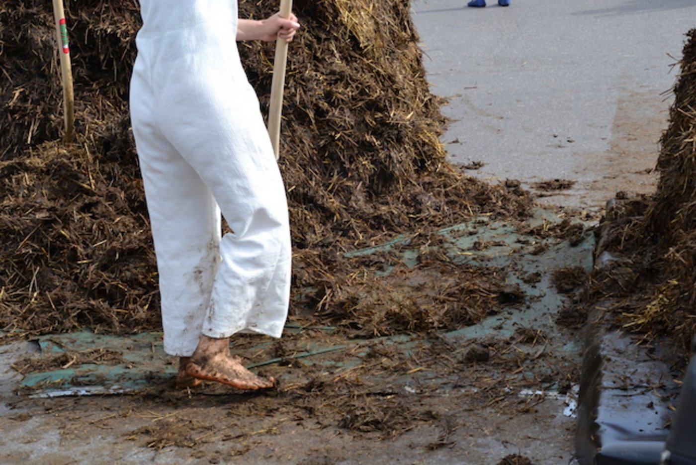 Die Künstlerin arbeitete mit blossen Füssen, um direkt in Kontakt mit dem Mist zu sein. (Bild jsc)