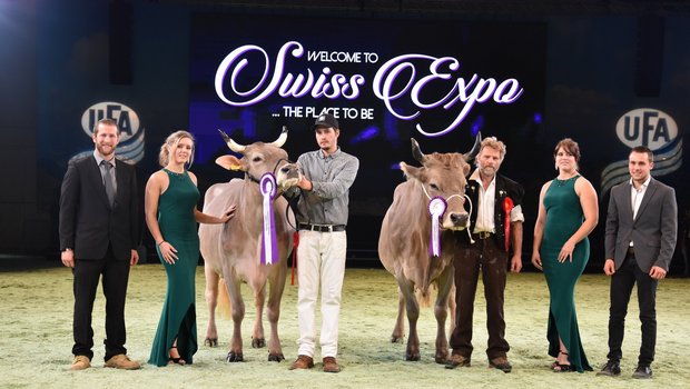 Feines Original Braunvieh an der Swiss Expo Die Grande Championne Voran Viona (links) von René Imoberdorf, Münster und die Reserve Markus Pamela von Samuel Bergmann, Matten BE.