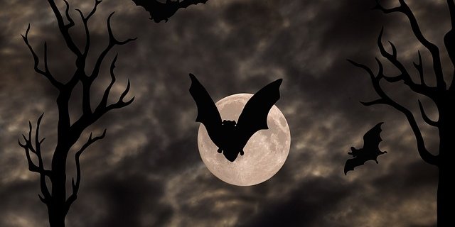 Halloween, importiert aus Übersee. Völlig unnötig, findet Simone Barth, solange nicht endlich ein Besen importiert wird, auf dem sie reiten kann. (Bild Pixabay)