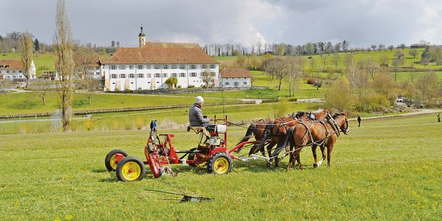Mähmaschine mit Doppelmesserbalken: Der vordere Teil stammt aus den USA, der hintere Teil ist eine Schweizer Konstruktion. Im Hintergrund der Chlosterhof in Olsberg, der von Ernst Rytz, Präsident der IG Arbeitspferde, bewirtschaftet wird. (Bild Paul Müri)