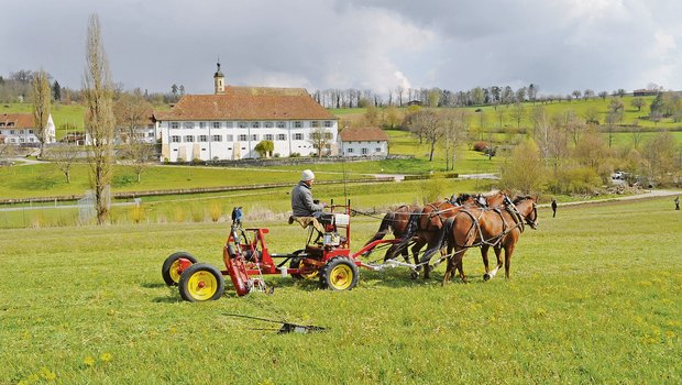 Mähmaschine mit Doppelmesserbalken: Der vordere Teil stammt aus den USA, der hintere Teil ist eine Schweizer Konstruktion. Im Hintergrund der Chlosterhof in Olsberg, der von Ernst Rytz, Präsident der IG Arbeitspferde, bewirtschaftet wird. (Bild Paul Müri)