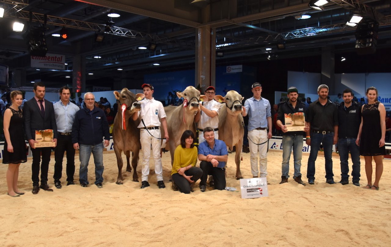 Grand-Champion (mitte) Joker Ella von Philipp Zweifel aus Linthal GL, Vize (links) Salomon Siera von Ludwig Noggler aus Sent GR und die Mention Honorable Alino Quitte, Christian Fischler und Kaspar Hoffmann. (Bilder jba)