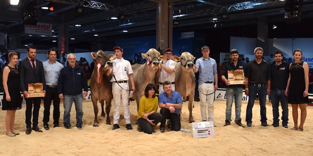 Grand-Champion (mitte) Joker Ella von Philipp Zweifel aus Linthal GL, Vize (links) Salomon Siera von Ludwig Noggler aus Sent GR und die Mention Honorable Alino Quitte, Christian Fischler und Kaspar Hoffmann. (Bilder jba)