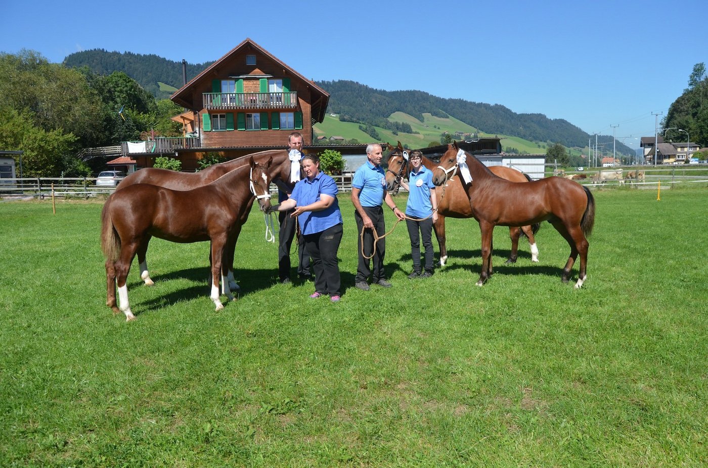 Die Siegerfohlen in Schüpfheim: Calina VH (links) von Roland Stadelmann, Wiggen, sowie Don Falco von Anton Schöpfer, Wiggen. (Bild Melanie Duss)