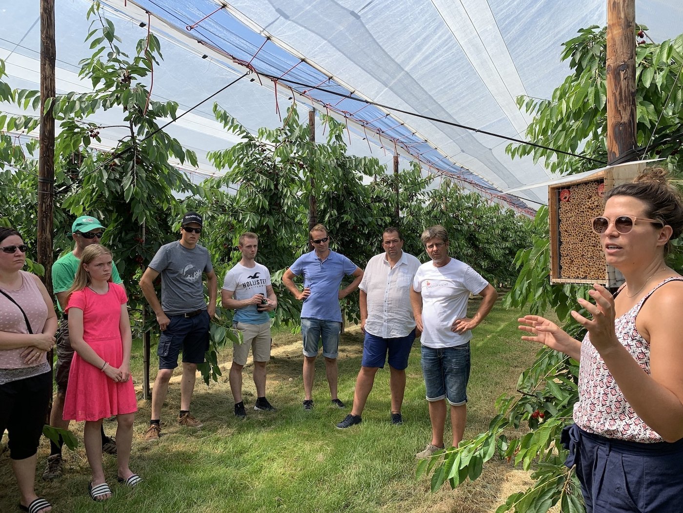 Pia Meyer von Pollinature informierte über den Einsatz von Mauerbienen zur Bestäubung in den Kirschenkulturen.