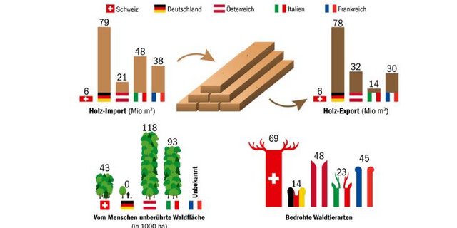 Bei der Anzahl bedrohter Tierarten im Wald ist die Schweiz im europäischen Vergleich traurige Spitzenreiterin. (Grafik mi / Quelle Europe Forest Report 2020)