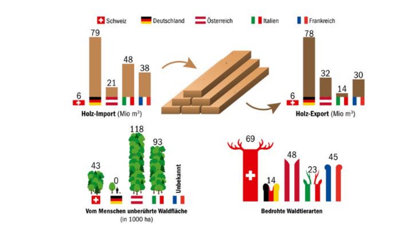 Bei der Anzahl bedrohter Tierarten im Wald ist die Schweiz im europäischen Vergleich traurige Spitzenreiterin. (Grafik mi / Quelle Europe Forest Report 2020)