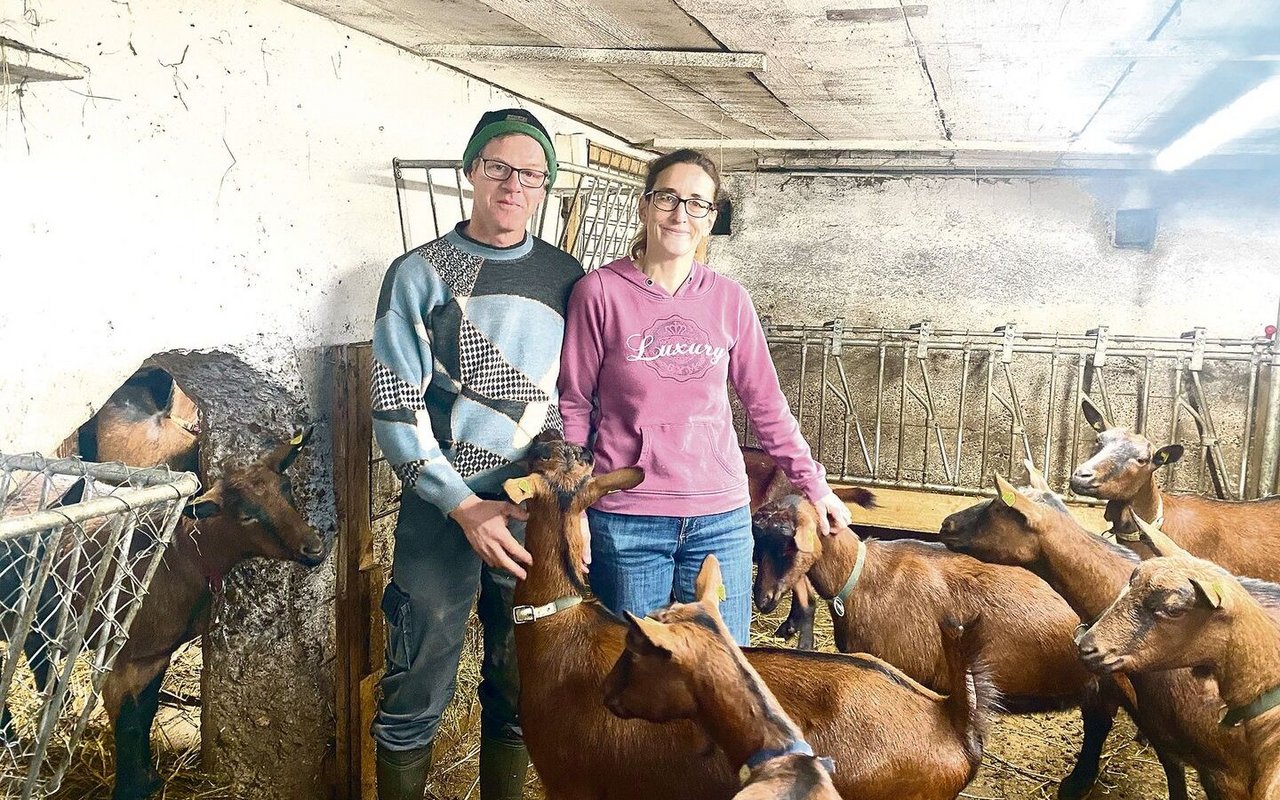 Thomas und Emanuela Schneeberger bauten das ehemalige Silo und die Kälberbuchten zum Ziegenstall um. Dort leben nun ihre Gämsfarbigen Gebirgsziegen, eine Milchrasse.
