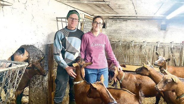 Thomas und Emanuela Thomas und Emanuela Schneeberger bauten das ehemalige Silo und die Kälberbuchten zum Ziegenstall um. Dort leben nun ihre Gämsfarbigen Gebirgsziegen, eine Milchrasse.