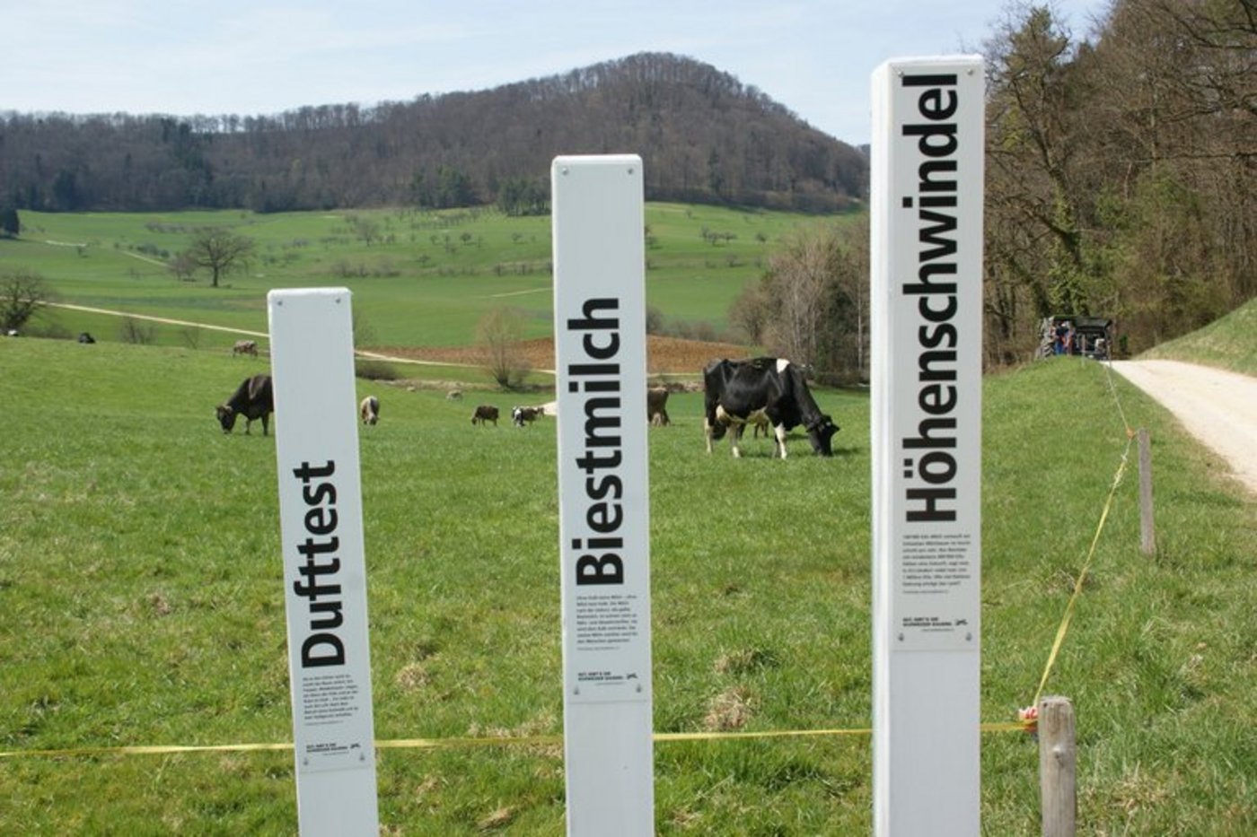 Ein Lockpfosten-Set. (Bild lid)