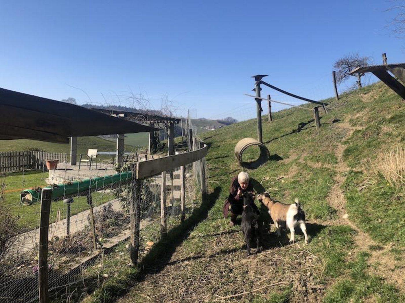 Silvia Lüdi hat Freude an ihren Zwergziegen und am Sitzplatz, den sie zum 50. Geburtstag bekommen hat. Dort kann sie auch einfach mal sein.