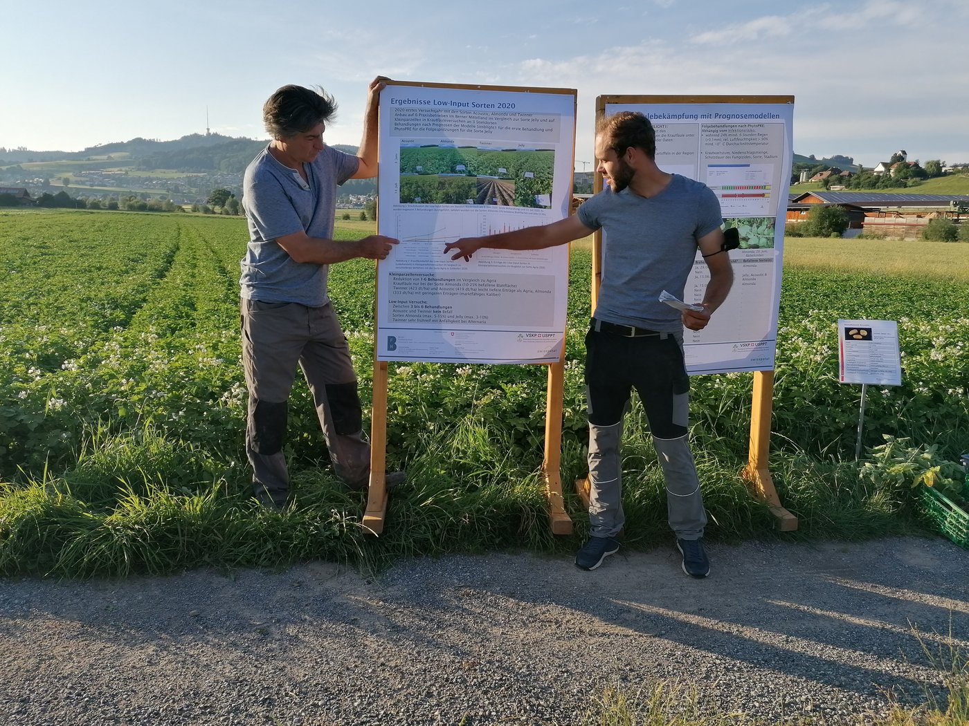 Stefan Vogel (rechts) und Andreas Keiser (links) referierten über den Krautfäulebefall der getesteten Sorten im Versuch von letztem Jahr. (Bild bab)