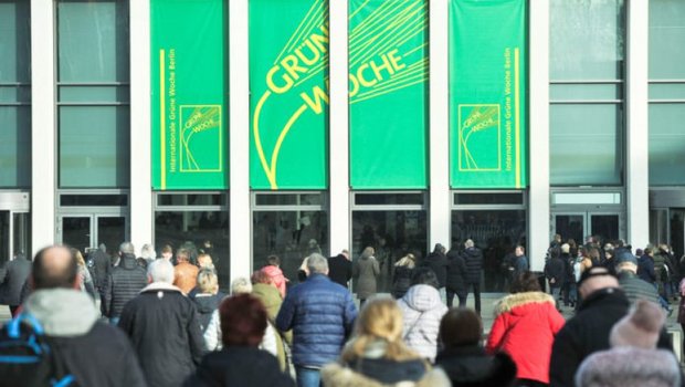 Rund 400 000 Gäste besuchten die Grüne Woche 2019 in Berlin. (Bild presse.online)