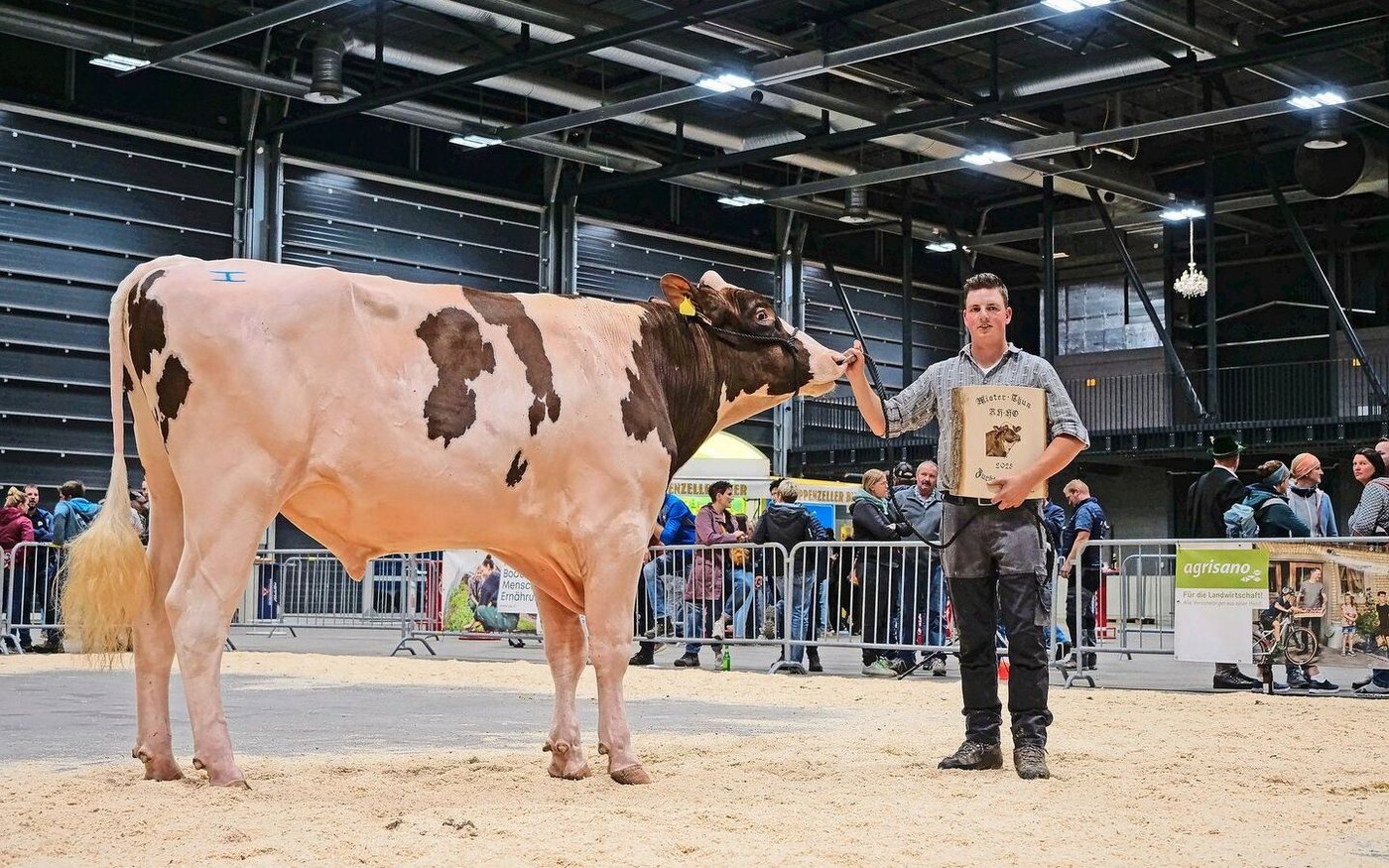 Mister RH/HO wurde Londaly Echo Lenny (44 94), Hans-Peter Bigler aus Mamishaus.