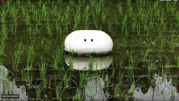 Traditionell verwendet man in Japan echte Enten beim Reisanbau. Sie fressen nicht nur das Unkraut, sondern auch Ungeziefer. Jetzt macht ein Roboter den Enten ihre Arbeit streitig. (Bild Screenshot Youtube 日産自動車株式会社)