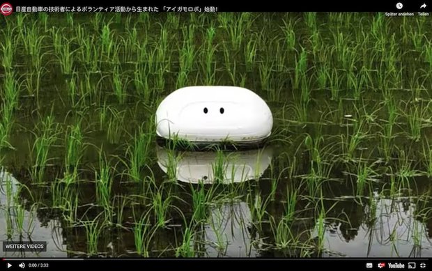 Traditionell verwendet man in Japan echte Enten beim Reisanbau. Sie fressen nicht nur das Unkraut, sondern auch Ungeziefer. Jetzt macht ein Roboter den Enten ihre Arbeit streitig. (Bild Screenshot Youtube 日産自動車株式会社)