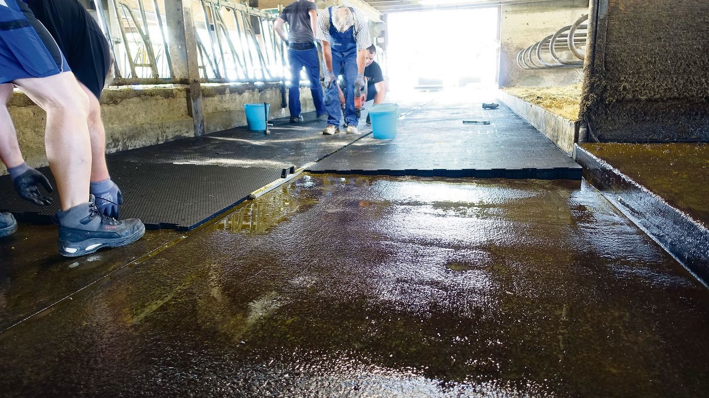 Montage der Gummimatten über den alten Bodenbelag vergangene Woche in Hohenrain. 