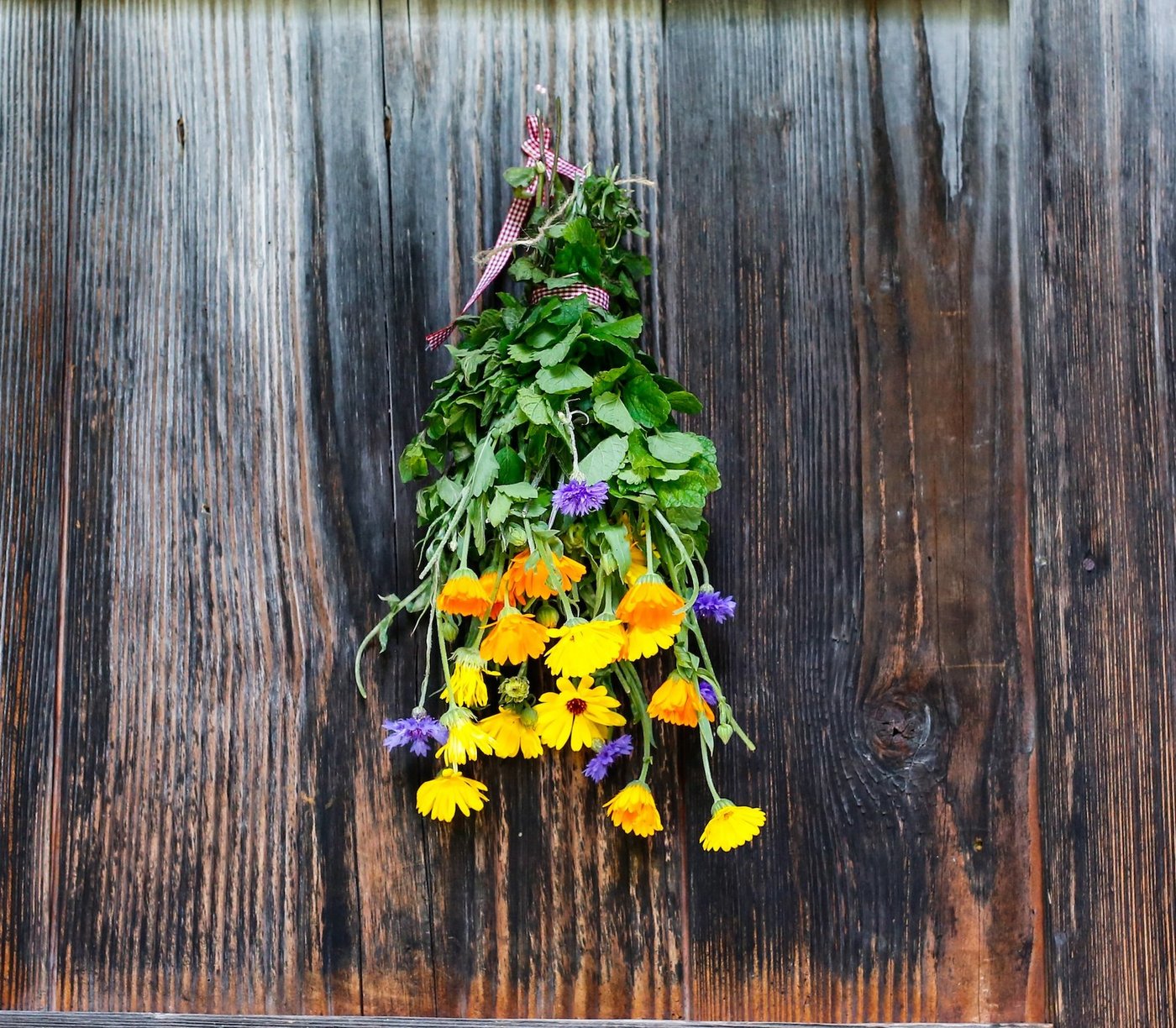 Die geweihten Kräuter werden in Haus und Stall aufbewahrt. (Bild er)
