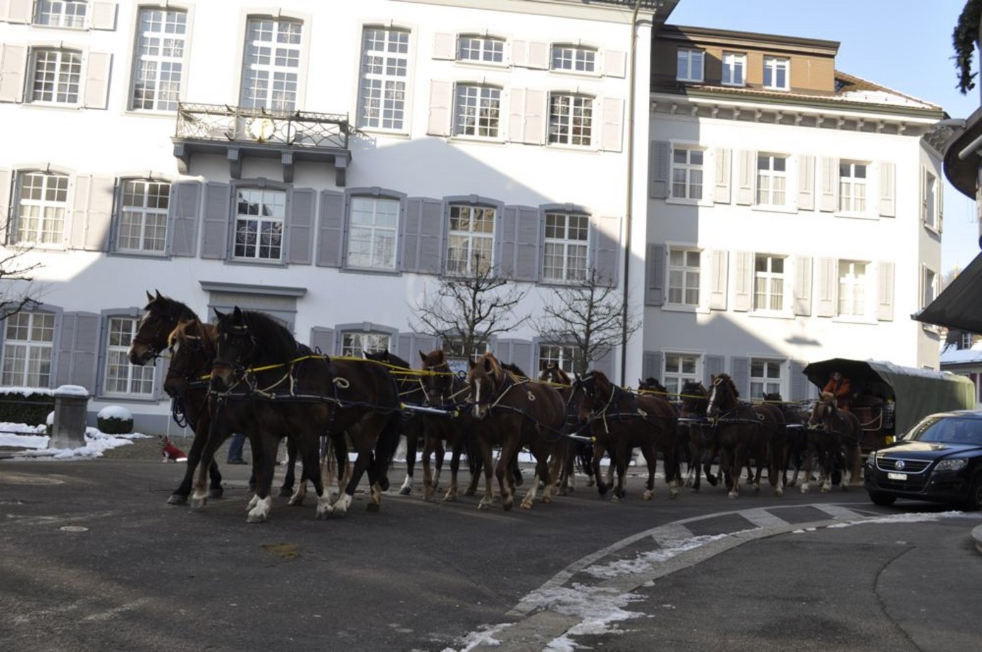 Erregte Aufsehen: Das Gespann mit 15 Pferden. (Bild BauZ)