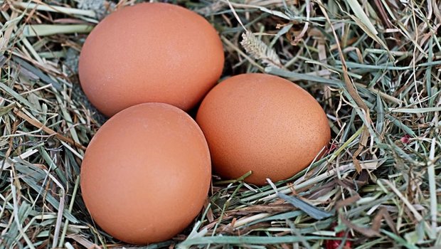Es wird diskutiert, was wirklich als Weide-Ei gilt. (Symbolbild Pixabay) 