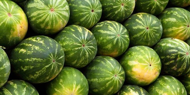 Chinesen essen fast 60 kg Melonen pro Jahr und Kopf. Ein lukrativer Markt für Brasilien. (Bild Pixabay)