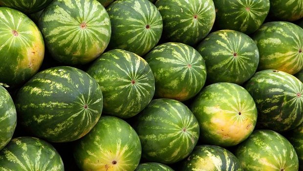 Chinesen essen fast 60 kg Melonen pro Jahr und Kopf. Ein lukrativer Markt für Brasilien. (Bild Pixabay)