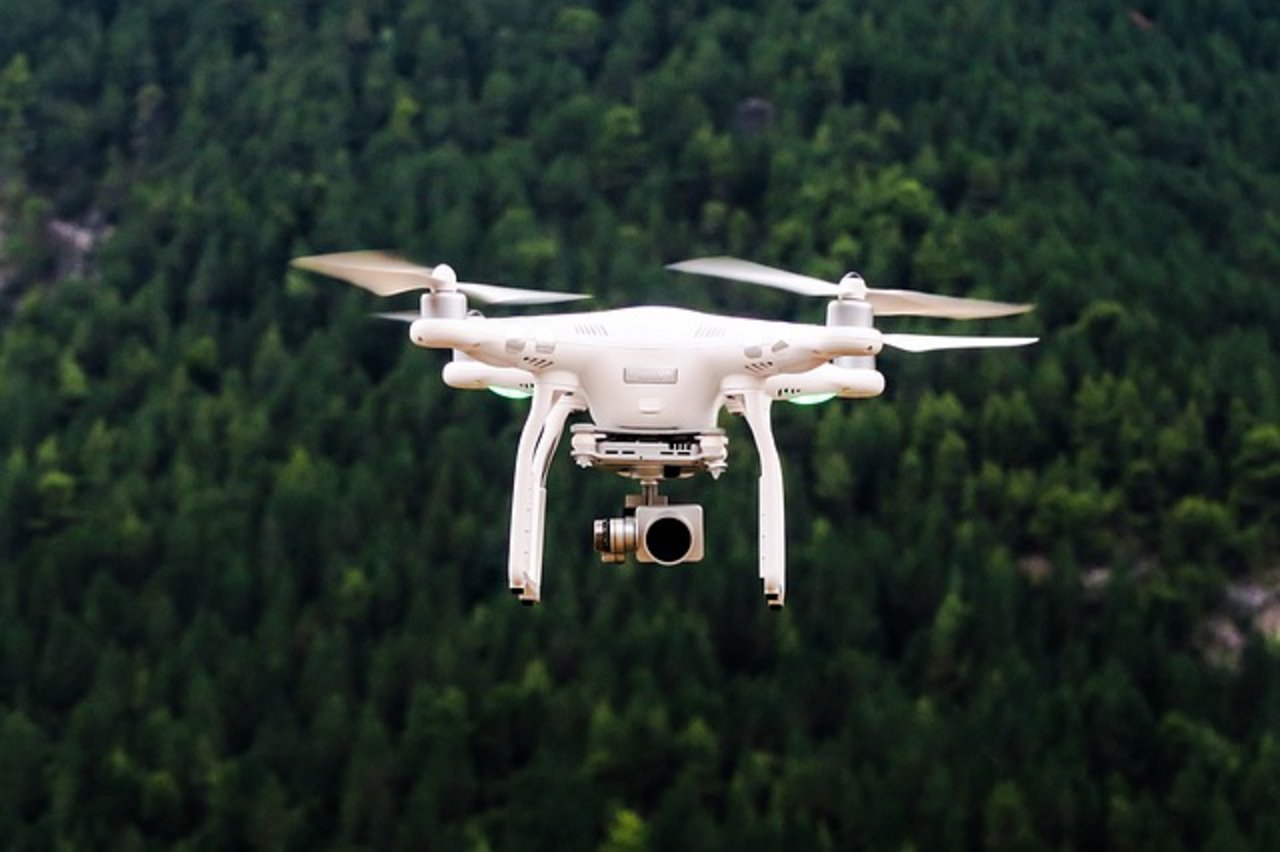 Drohnenflüge sollen im Alpstein verboten werden, unter anderem zum Schutz des Wildes. (Bild Pixabay)