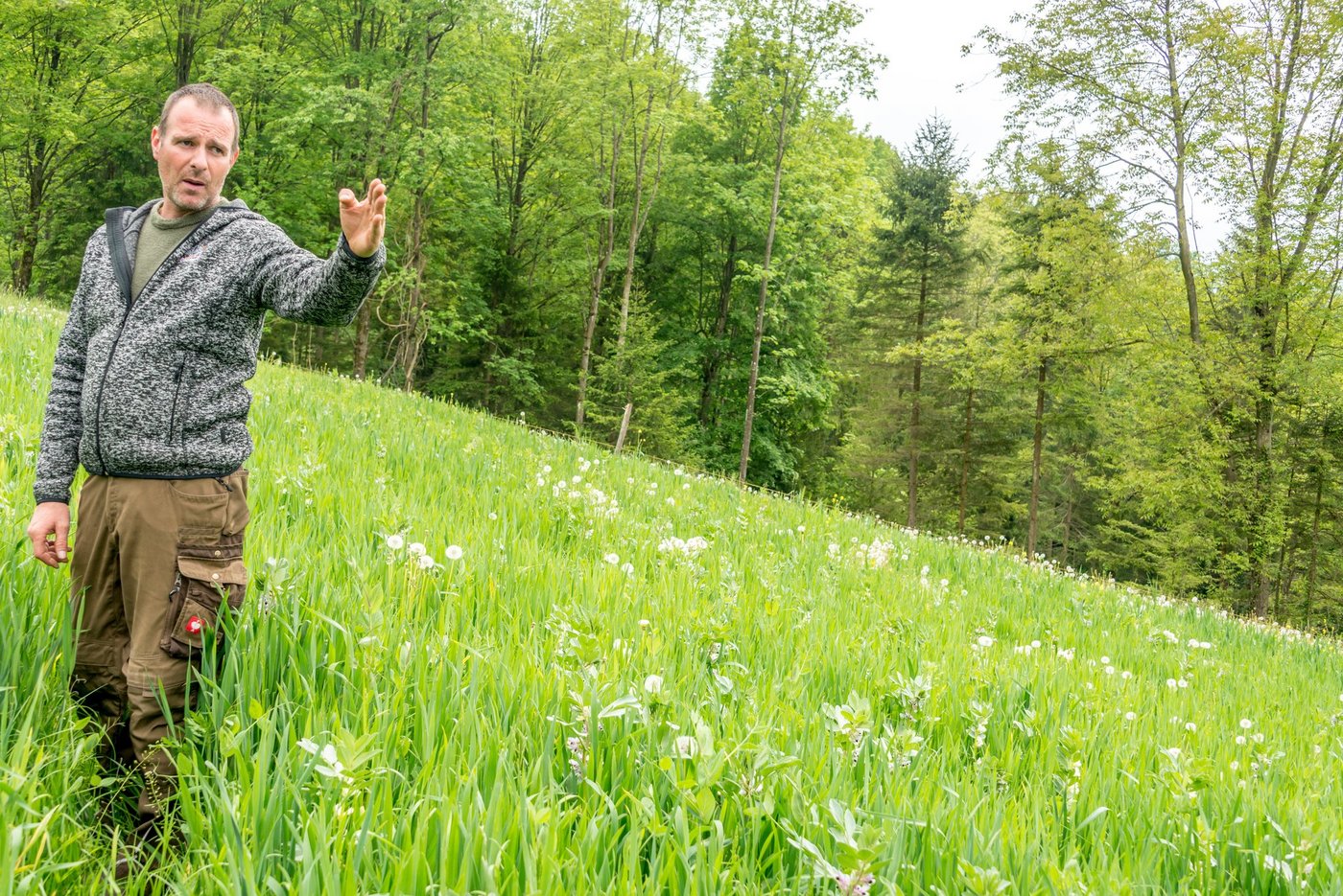 Patrik Birrer erklärt gerne, wie die GPS-Untersaat auf seinem Betrieb funktioniert. (Bilder BauZ)