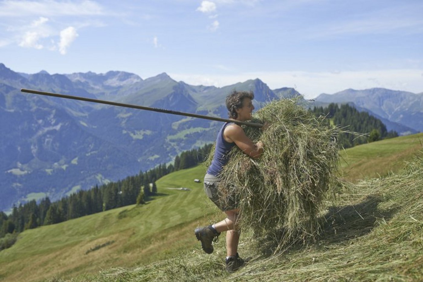 Letztes Jahr halfen 872 Personen während mindestens einer Woche bei Bergbauern aus.