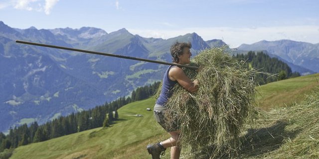 Letztes Jahr halfen 872 Personen während mindestens einer Woche bei Bergbauern aus.