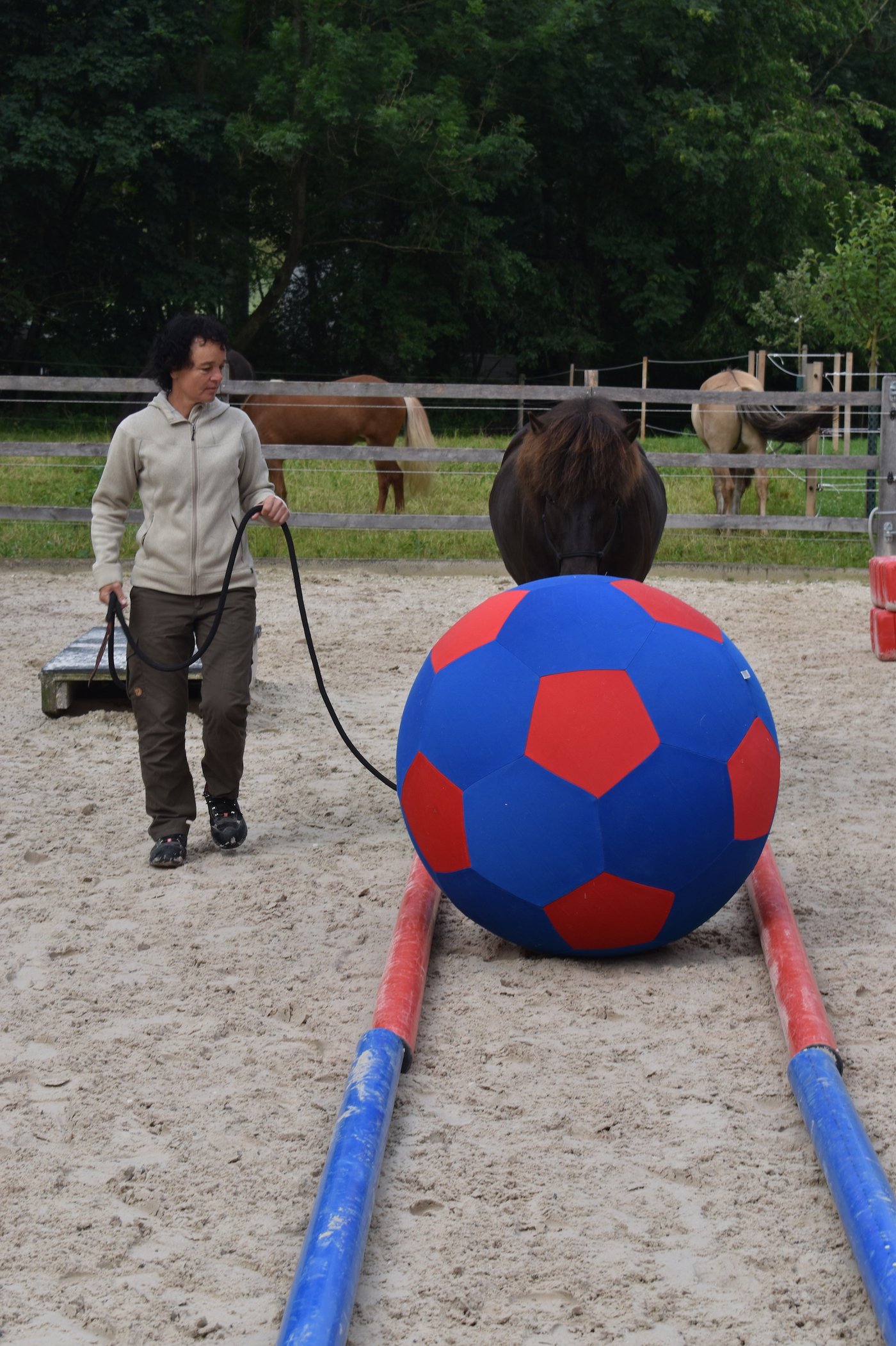 Mit ihren Pferden und Ponys führt sie, auch in ihren Reitstunden- und kursen, verschiedene Übungen durch. So schiebt das Pferd einen riesigen Ball vor sich hin,