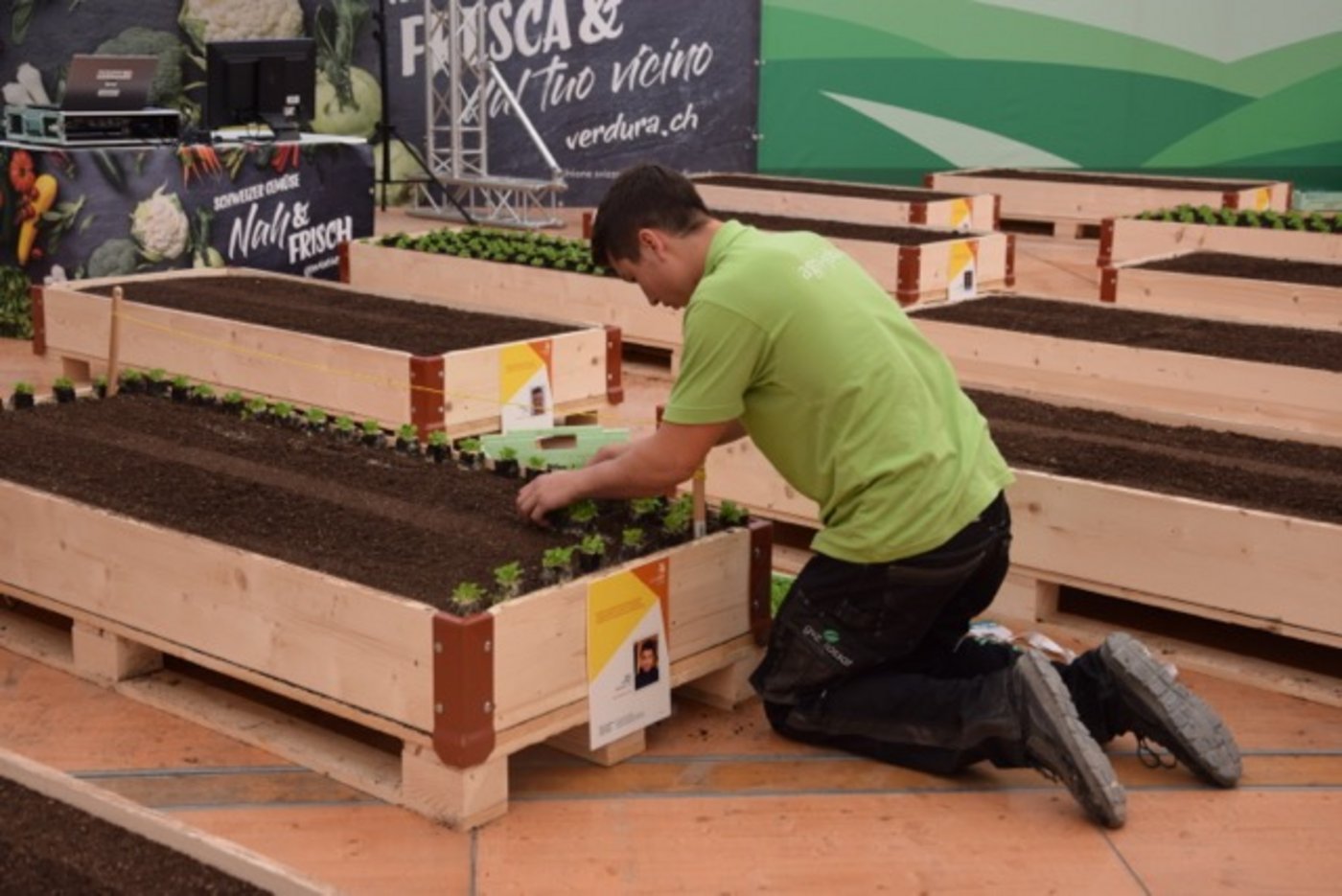 Gemüsegärtner Janik Lauber beim Nüssli-Salat pflanzen.