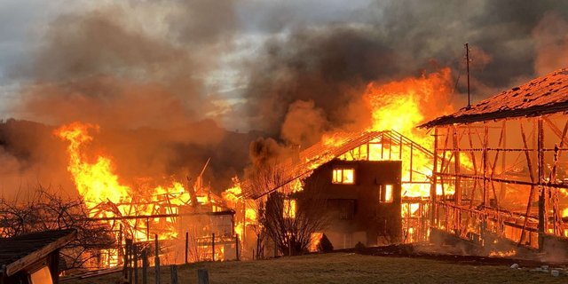 Bis auf einen kleinen Stall standen innert kurzer Zeit alle Gebäude in Flammen. (Bilder Kapo ZH)