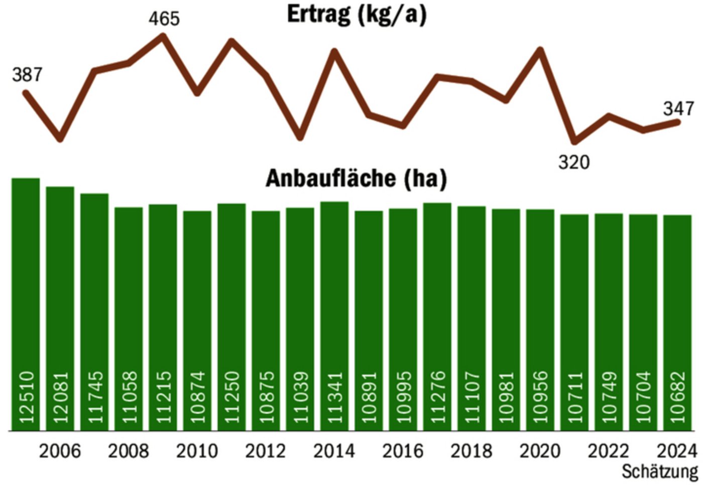 Sinkende Flächen und Erträge: Der Schweizer Kartoffelanbau hat in den vergangenen Jahren unter anderem unter dem Wetter gelitten.