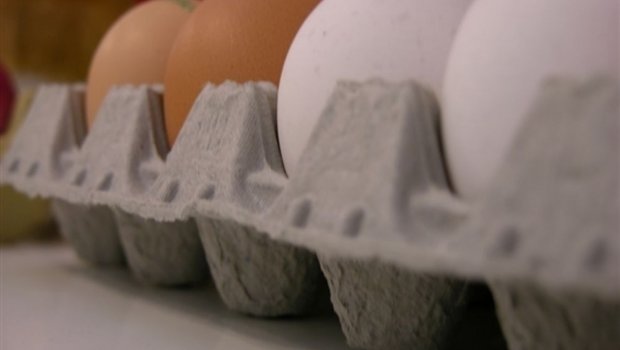 2014 sind 60% mehr Eier und Eierprodukte im Rahmen des aktiven Veredelungsverkehrs ausgeführt worden als 2010. (Bild BauZ)