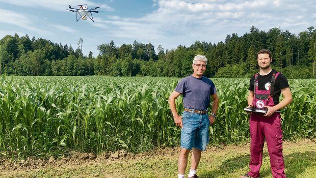 Landwirt Matthias Schälchli (links) mit Drohnenpilot Thomas Widmer, während die Drohne automatisch das Maisfeld abfliegt und Trichogramma-Kugeln abwirft. (Bilder Katrin Erfurt)